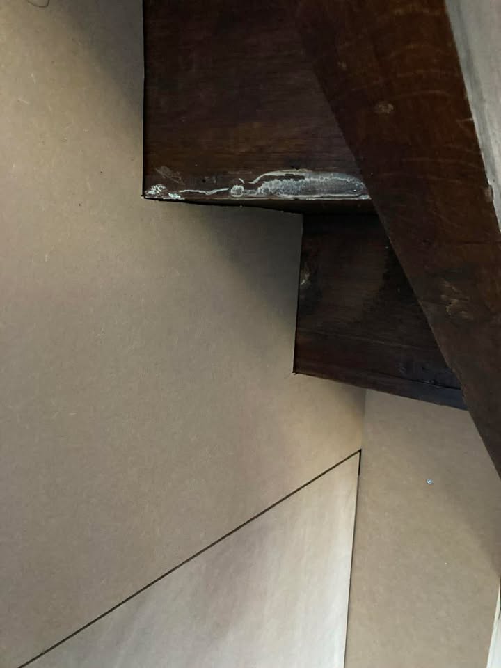 COUPE ESCALIER POUR AMENAGEMENT ESCALIER